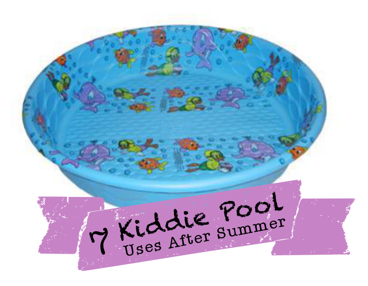 job lot kiddie pool