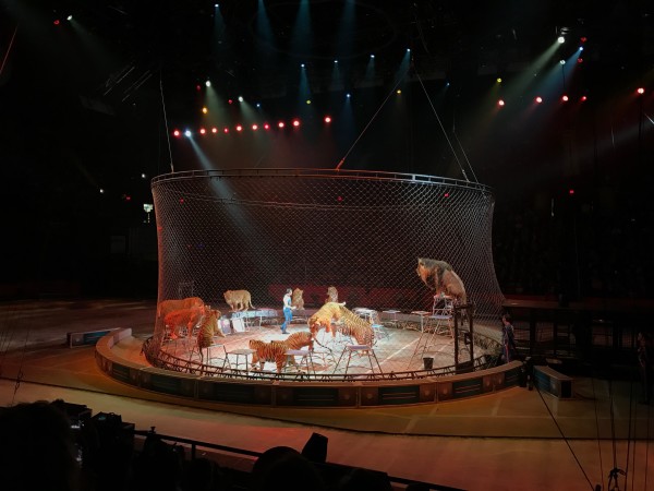 Ringling Bros Barnum Bailey Circus Closing Performance