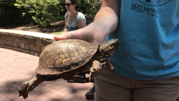 Live animal shows at Kings Dominion KidsFest in Doswell, VA