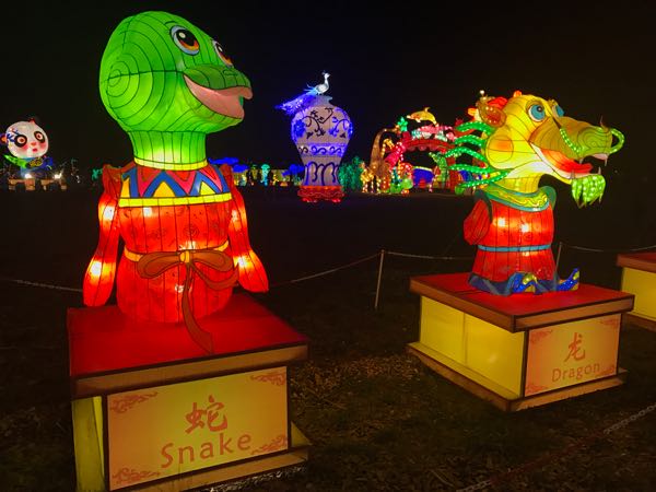 LightUP Fest Snake Dragon Chinese Almanac Illuminated Displays